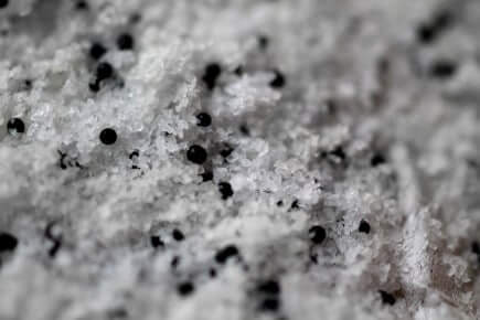 Waterkeeper-microbeads5-zoomedin