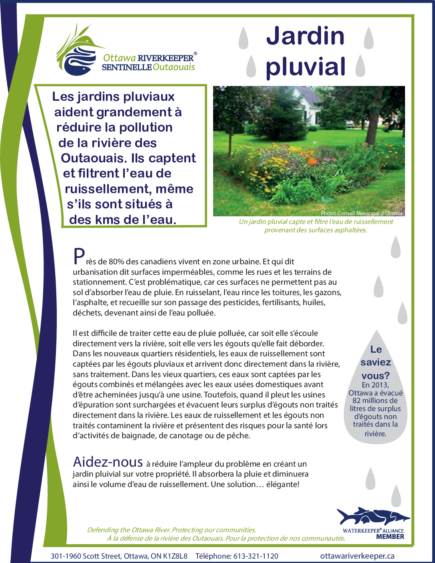 Jardin pluvial