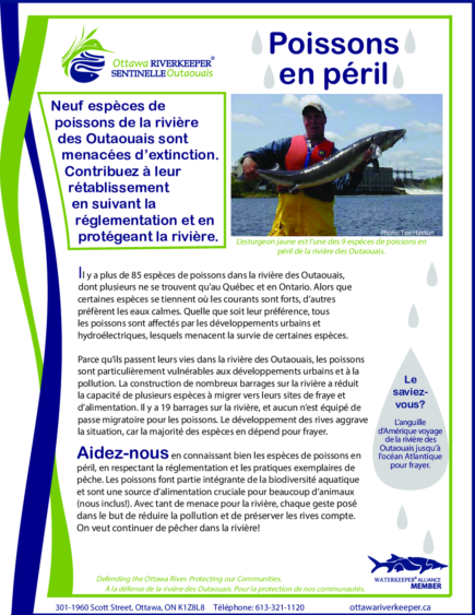 Poissons en peril