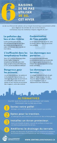 Sel - Sentinelle Outaouais 2016