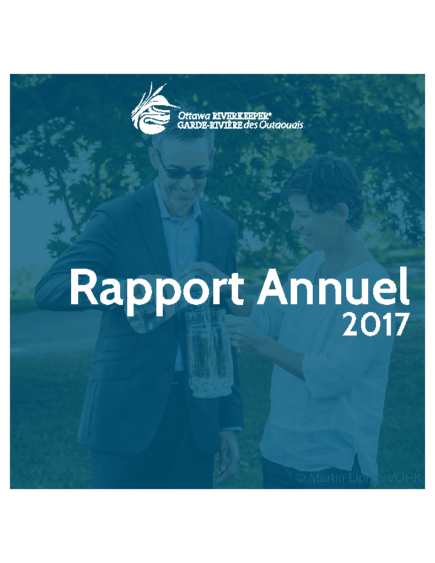 Rapport Annuel 2017