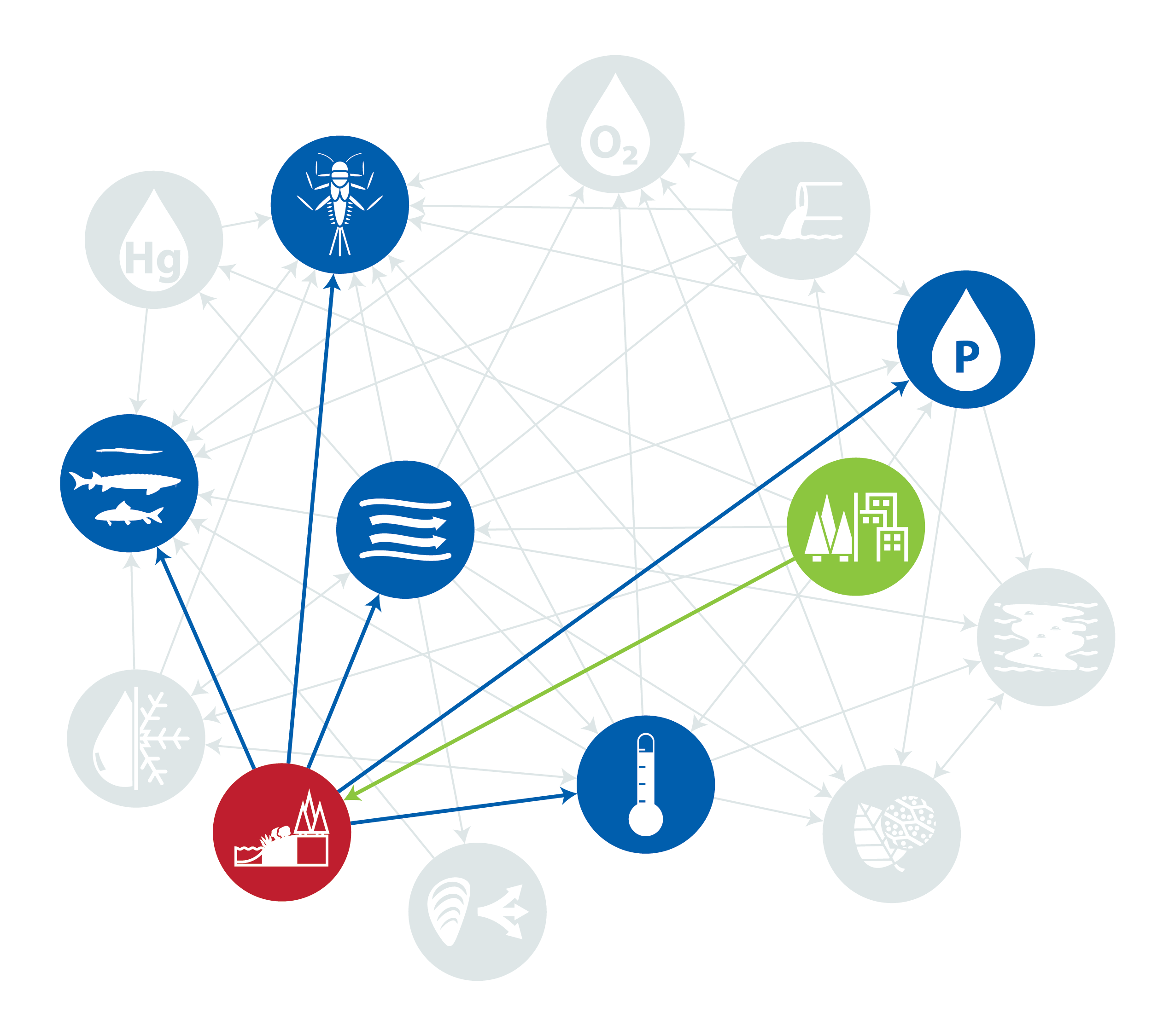 Connectivité riveraine