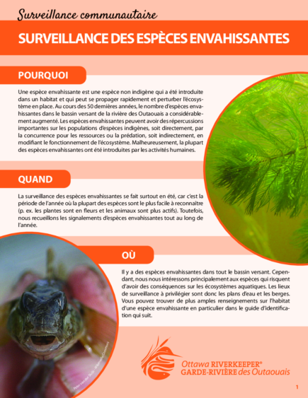 Guide de surveillance communautaire : Espèces envahissantes