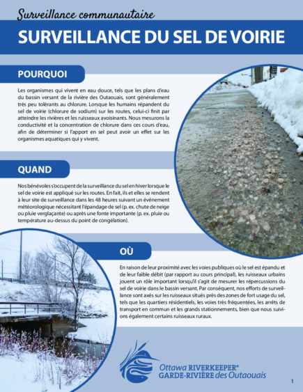 Guide de surveillance communautaire : Sel de voirie