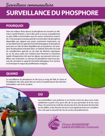 Guide de surveillance communautaire : Phosphore