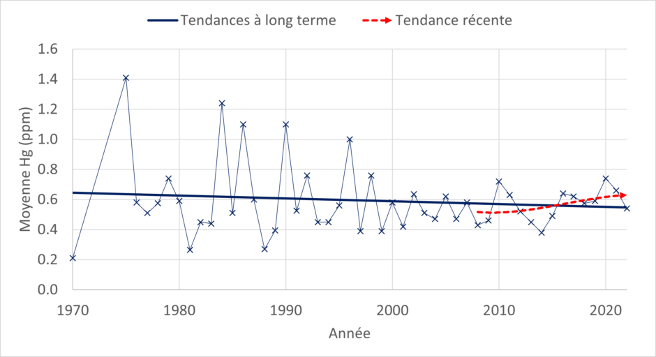 Graphique montrant les niveaux moyens de Hg dans le doré jaune de 1970 à 2020. Une ligne de tendance montre que les niveaux diminuent lentement au fil du temps à partir de pics très élevés dans les années 1970 et 1980. Une ligne de tendance plus courte commençant vers 2009 montre une tendance à la hausse ces dernières années.