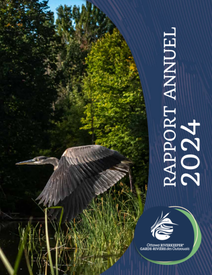 Rapport Annuel 2024