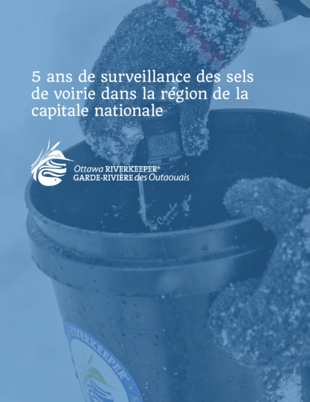 5 Year Road Salt Report_FR